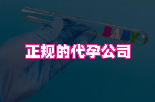 武汉助孕网 2